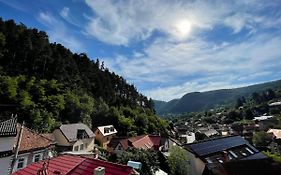 Quiet house Brasov